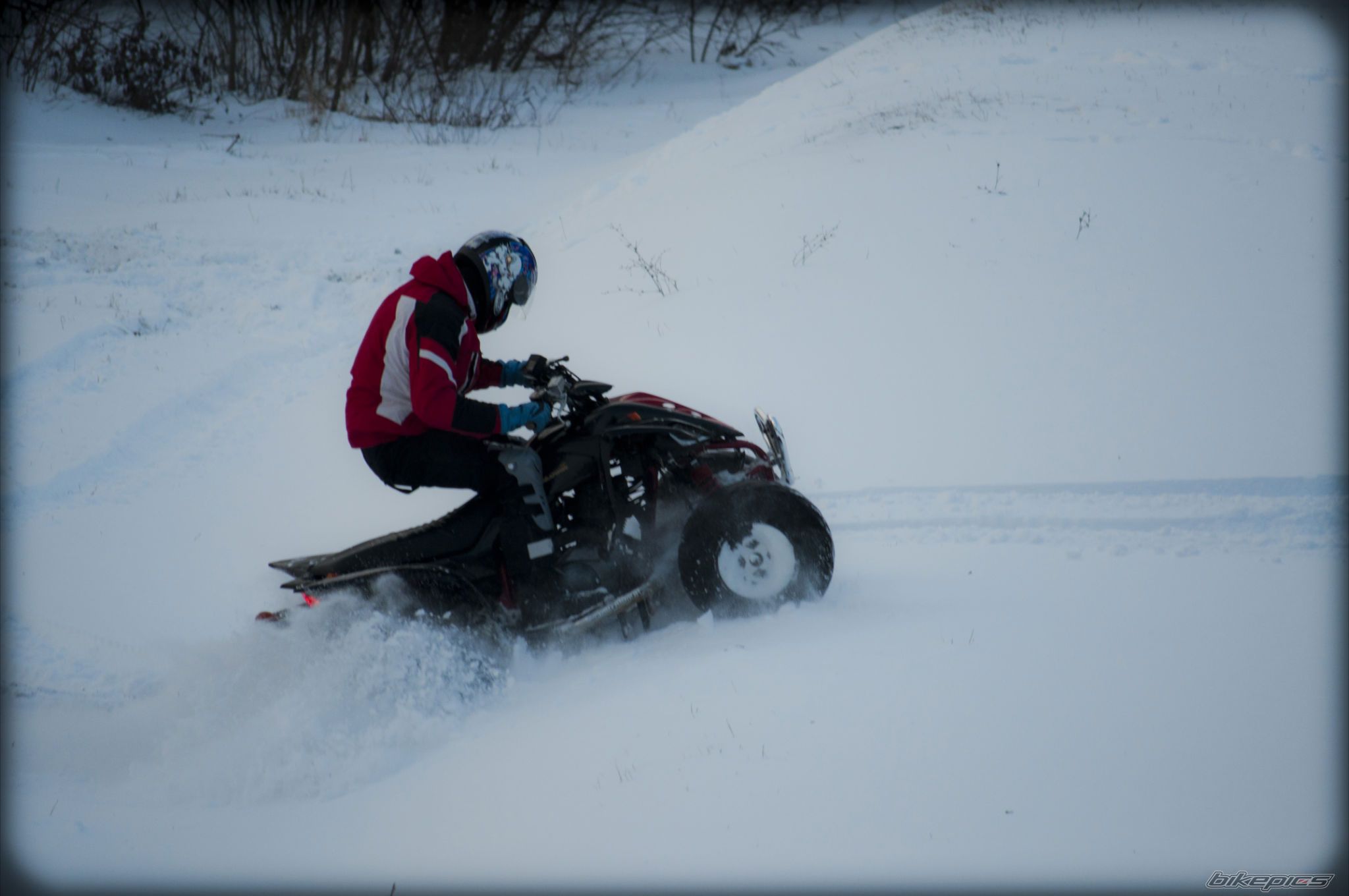 Photo 2343446