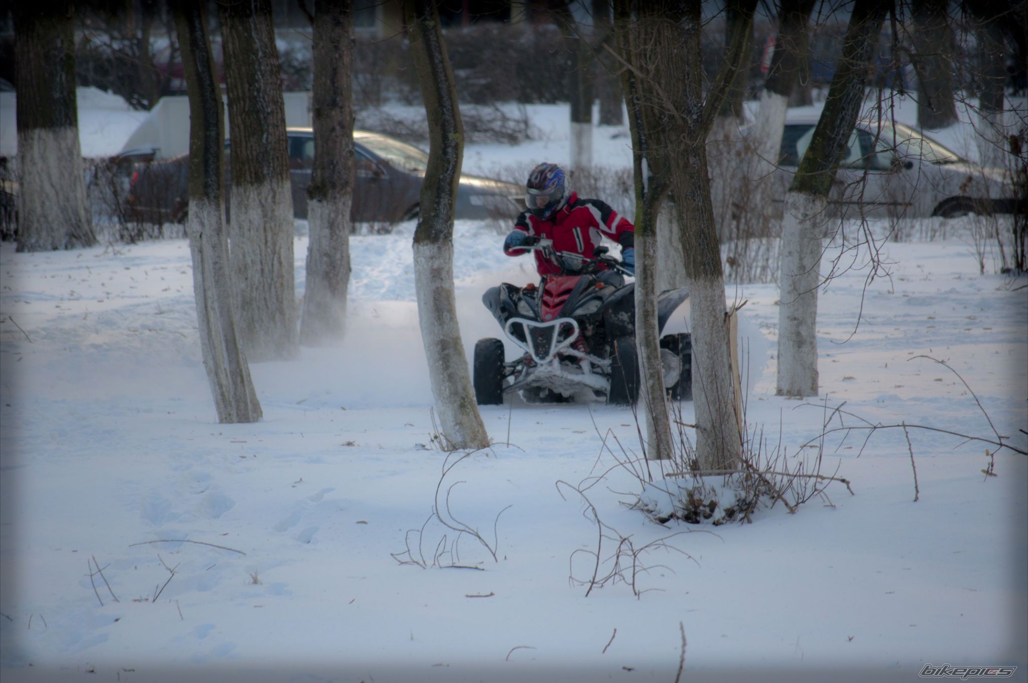 Photo 2343450