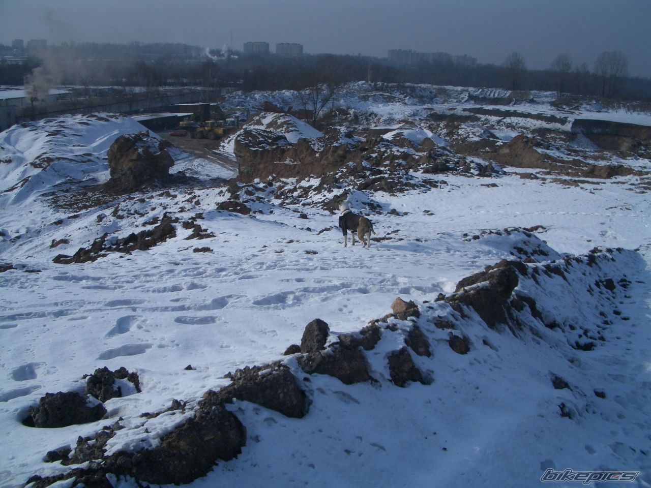 Photo 2343455