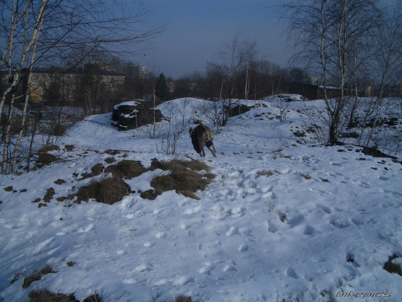Photo 2343457