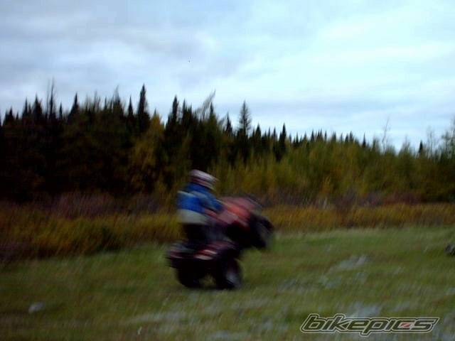 Photo 234347