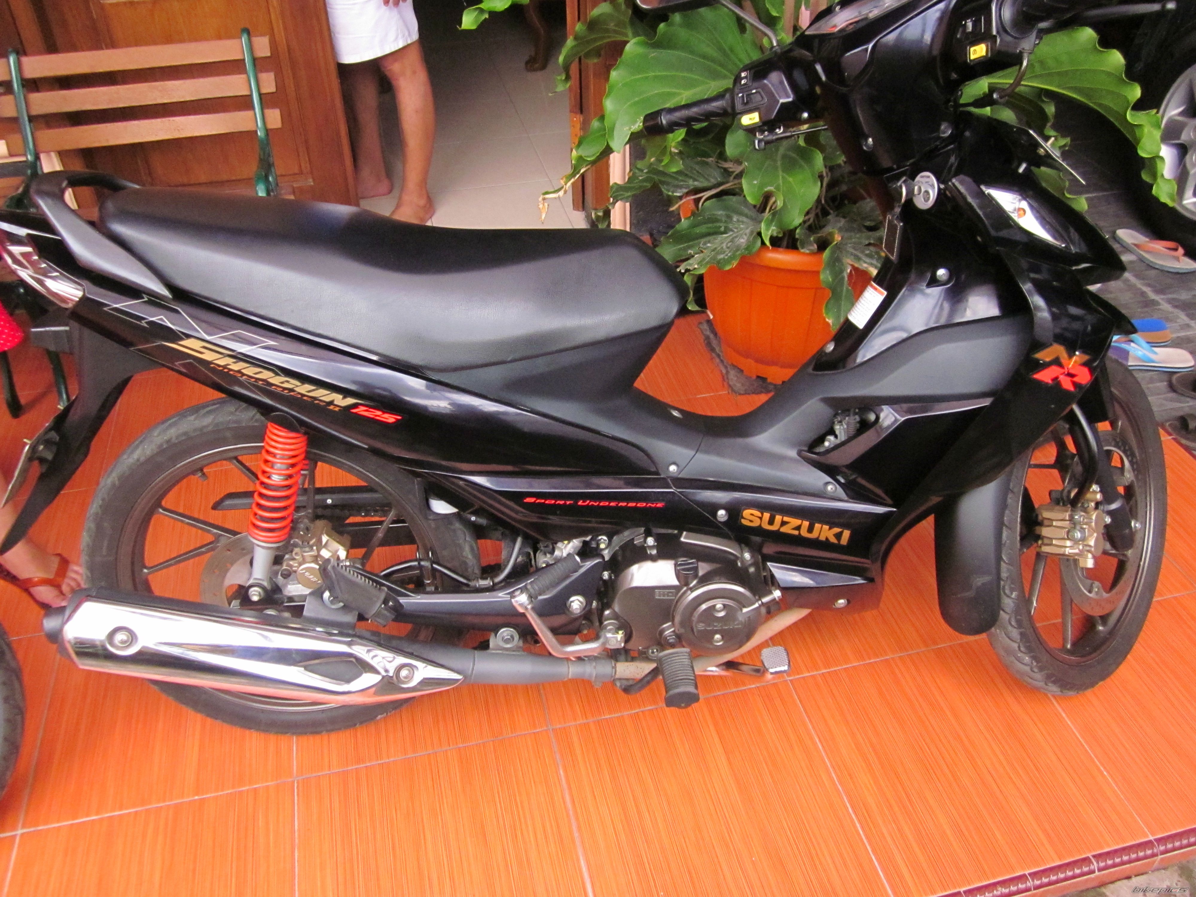 Photo 2343473