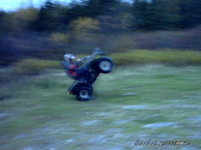 Photo 234350