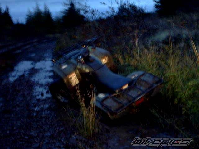 Photo 234351