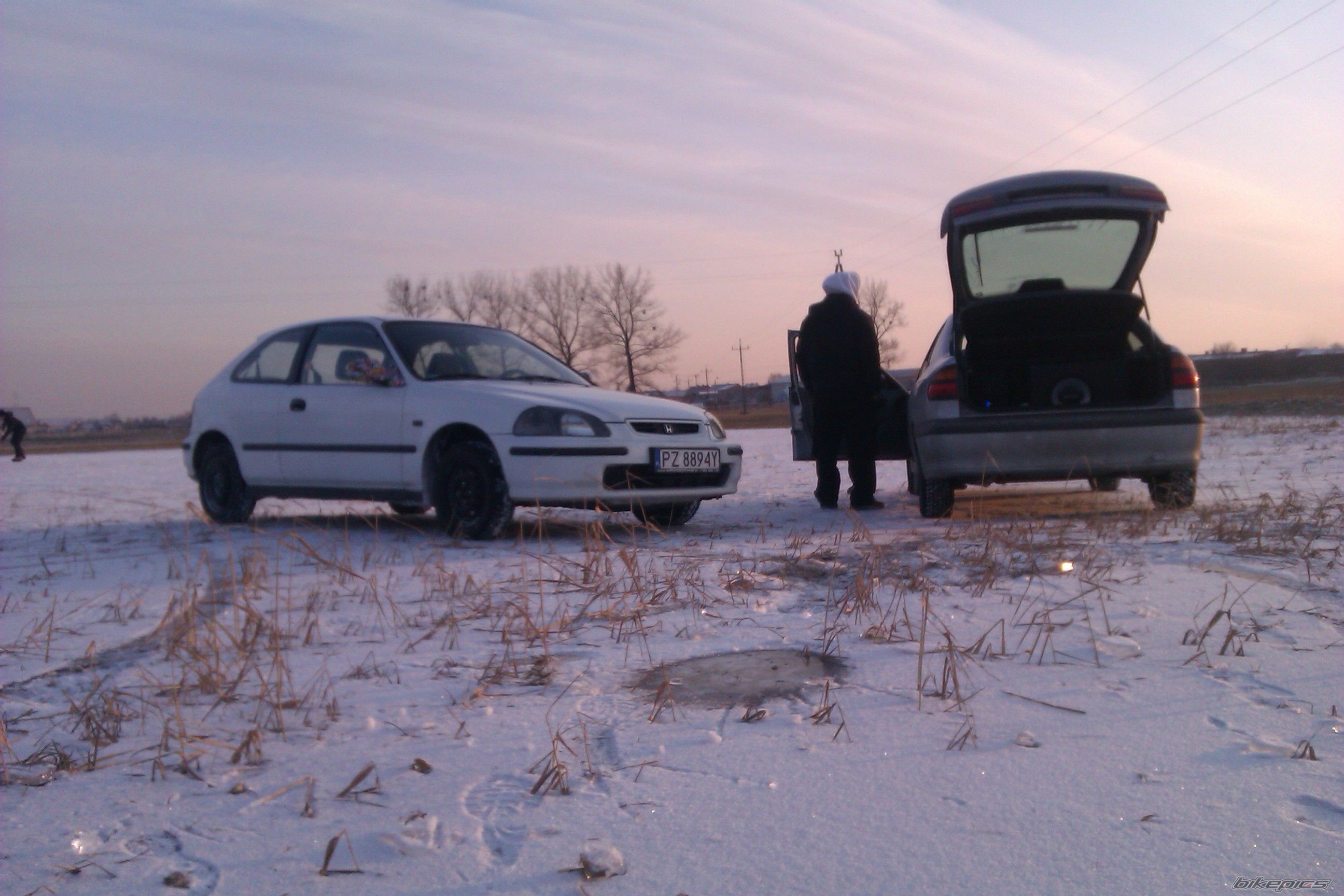 Photo 2343529
