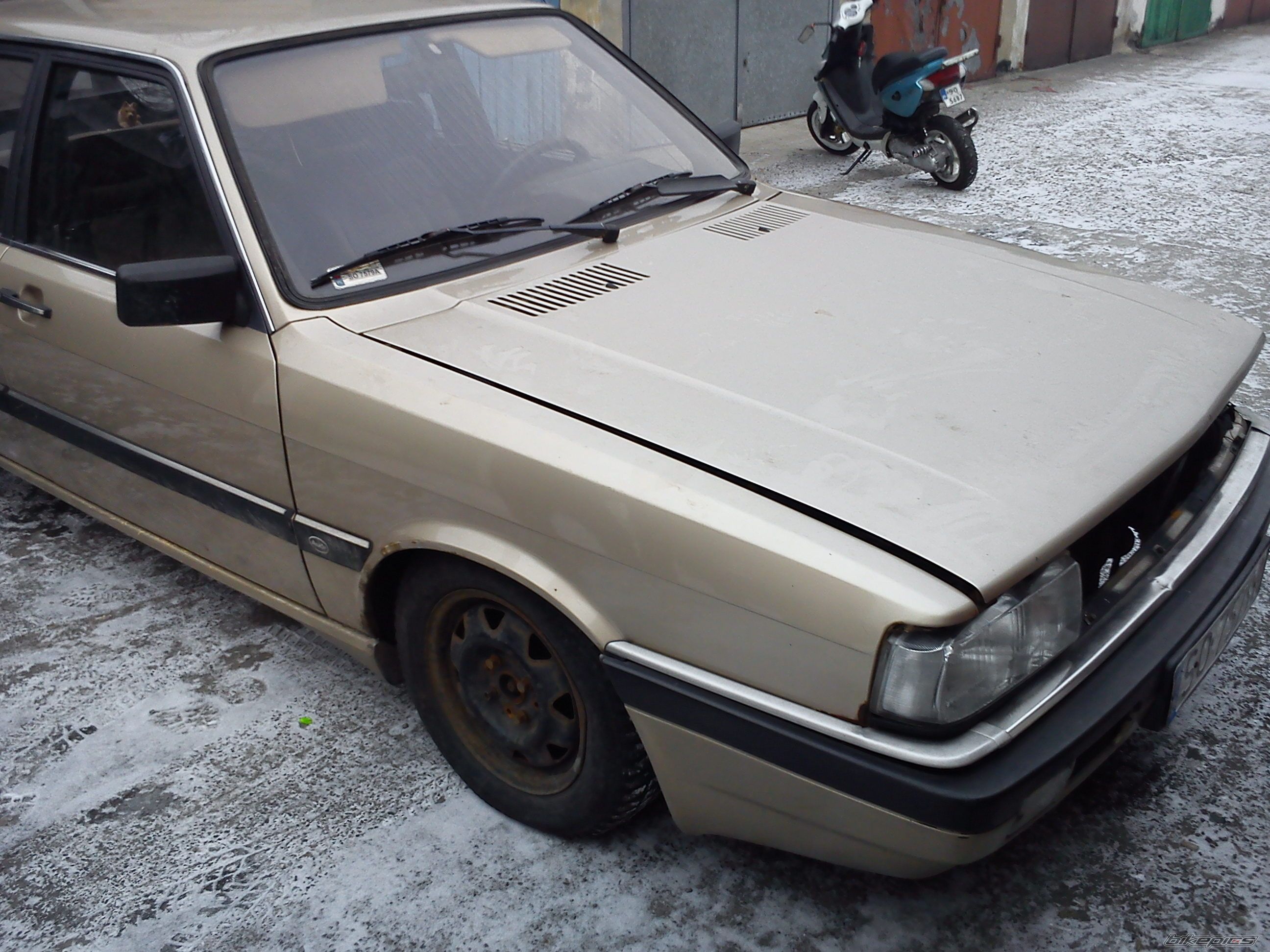 Photo 2343655