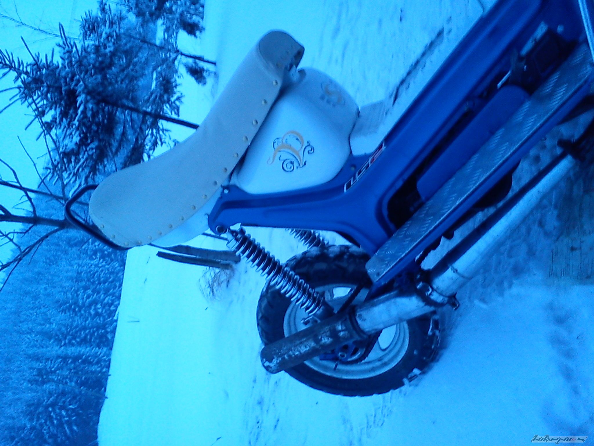 Photo 2343666