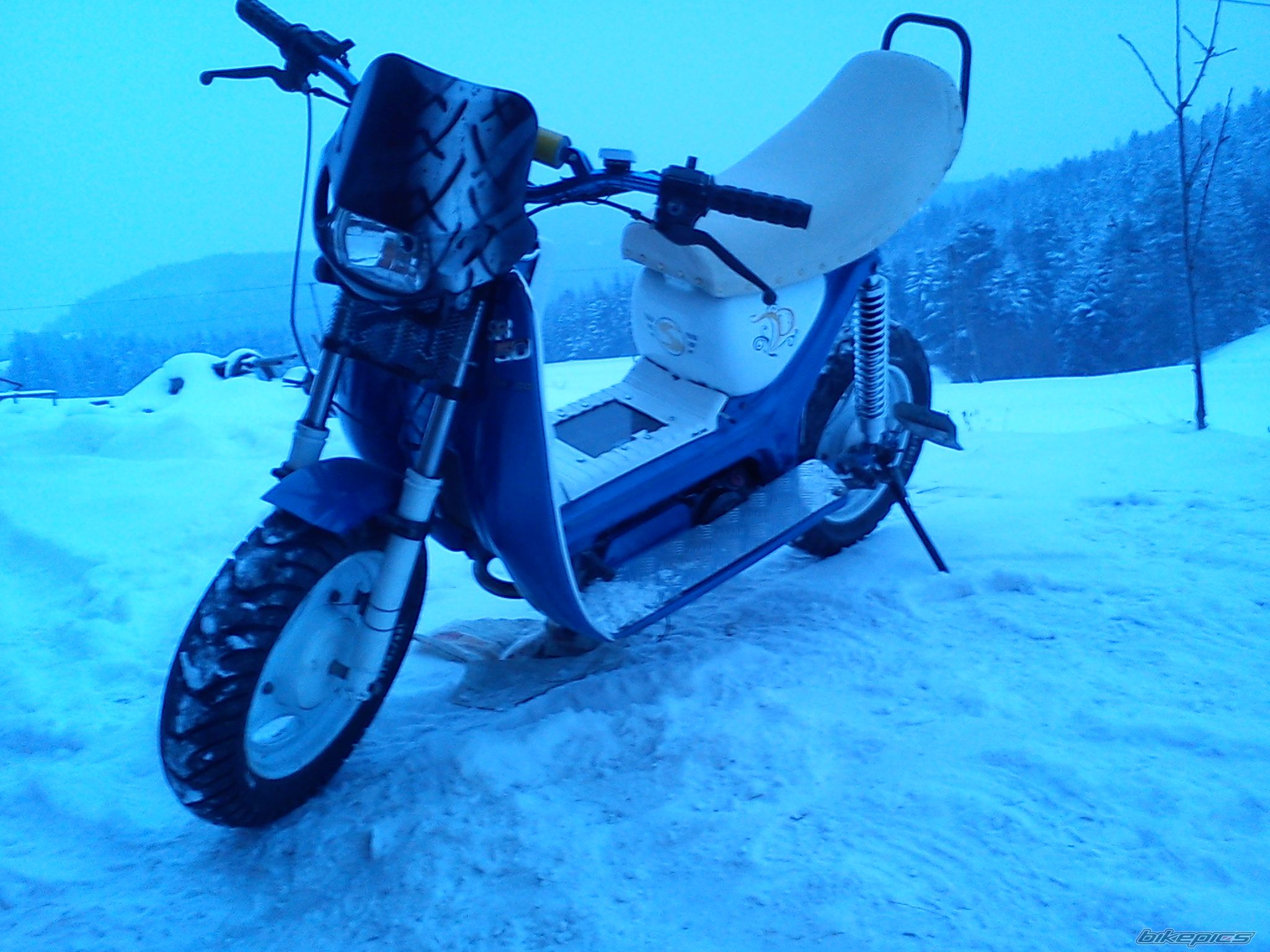 Photo 2343667