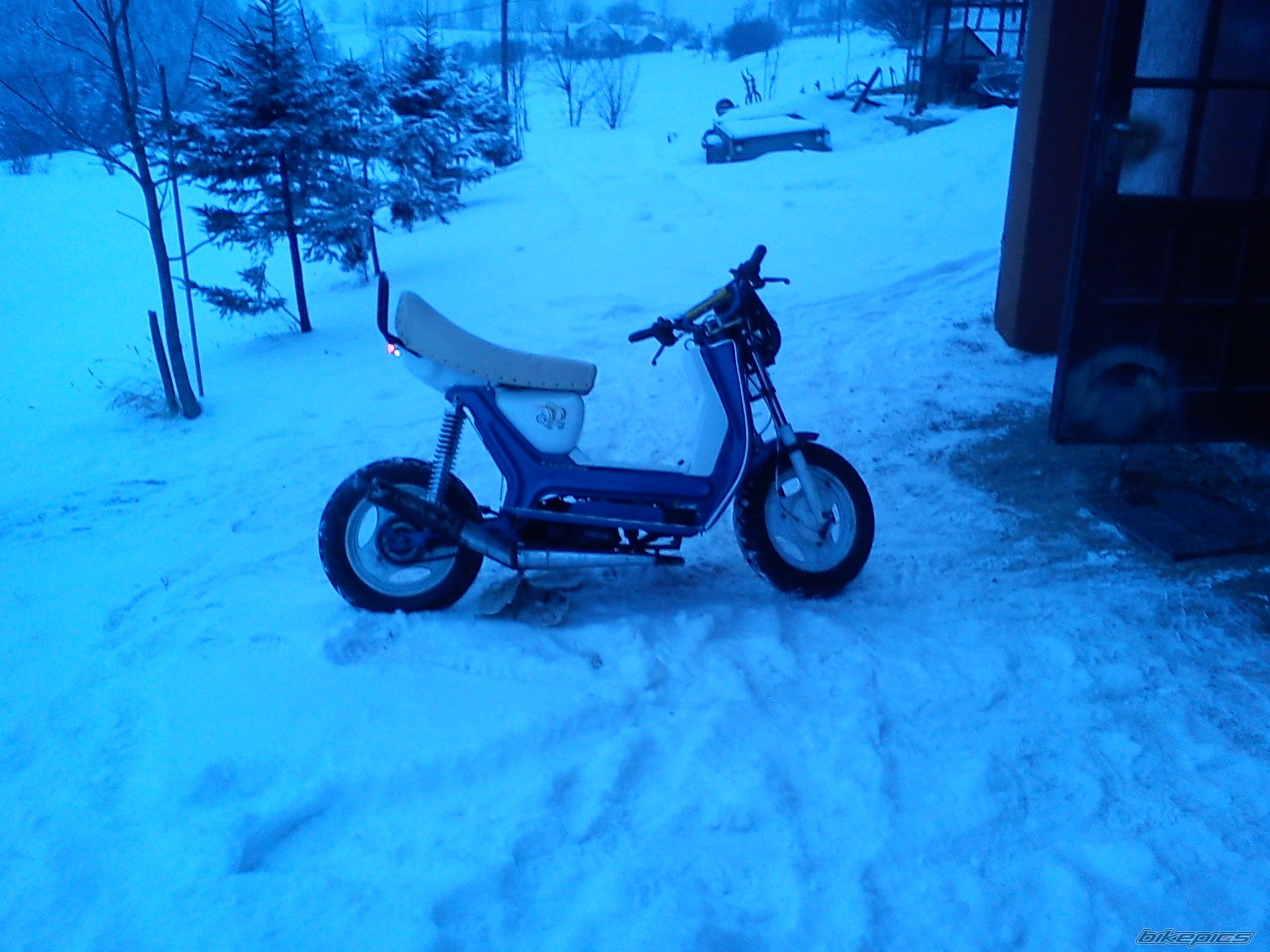 Photo 2343668