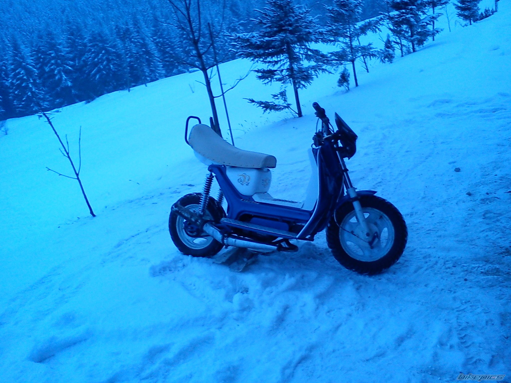 Photo 2343669