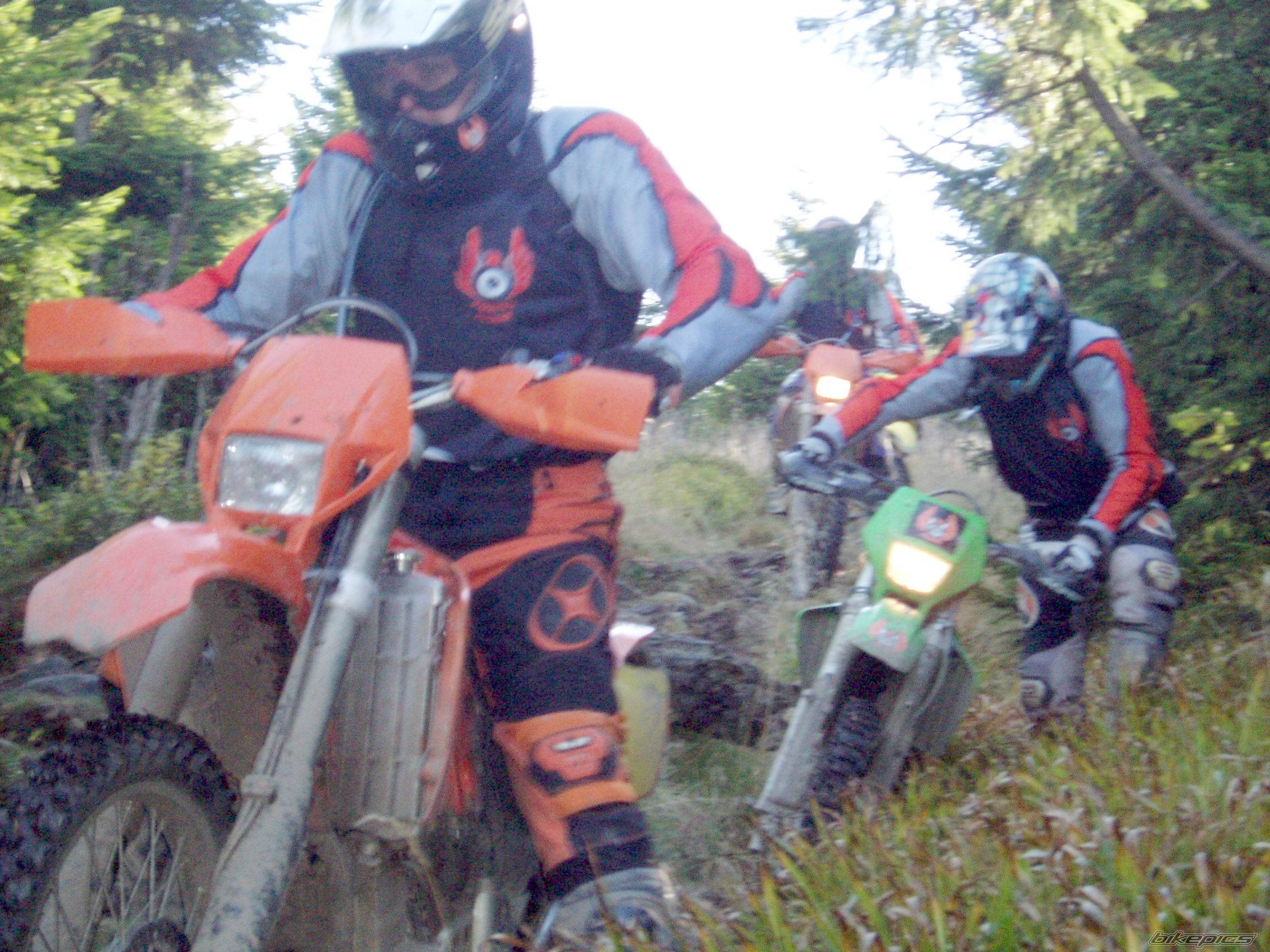 Photo 234369