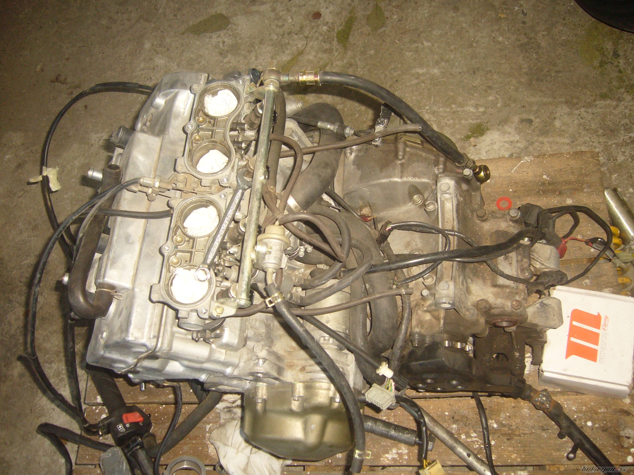 Photo 2343753