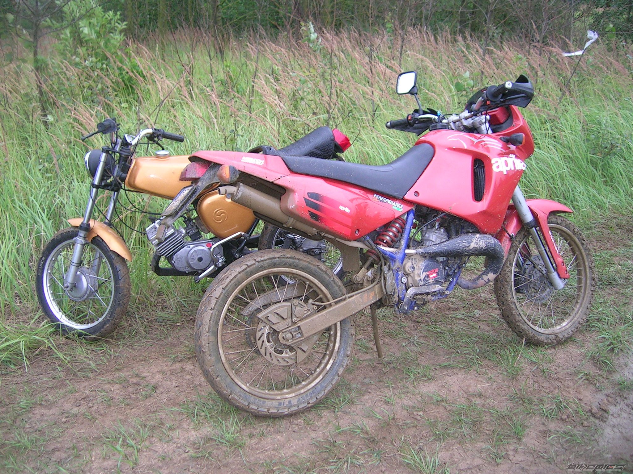 Photo 2343856