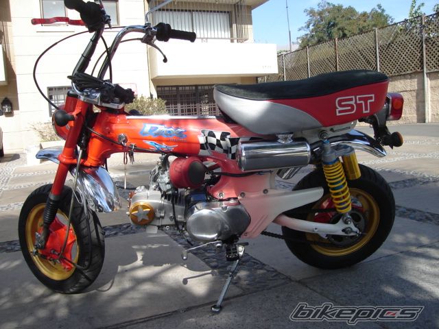 Photo 2343904