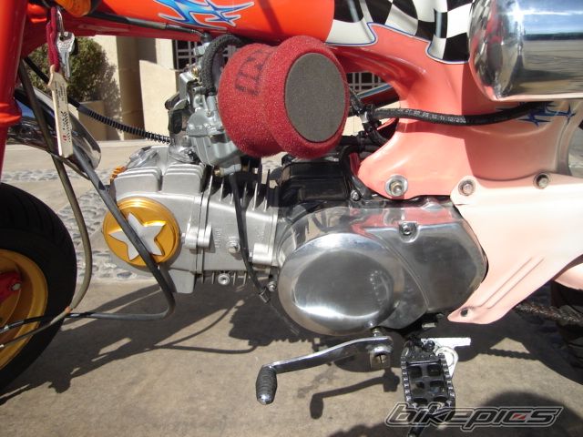 Photo 2343907