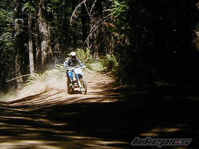 Photo 2343932