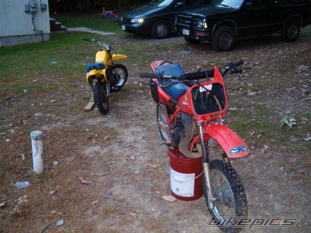 Photo 234396