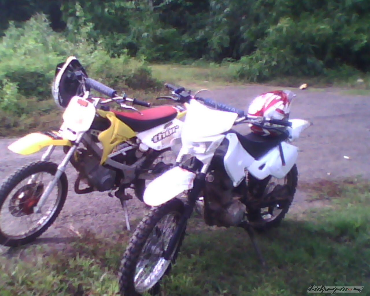 Photo 2344019
