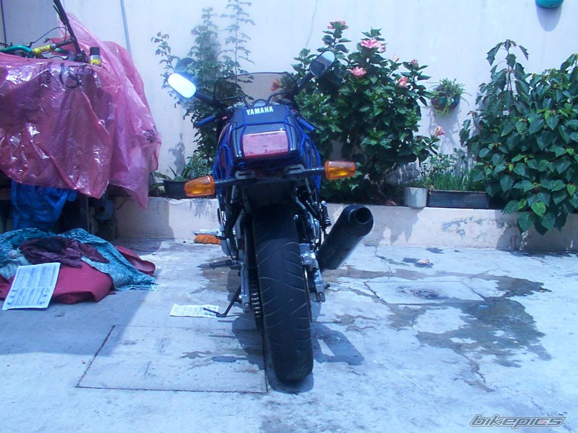 Photo 234412