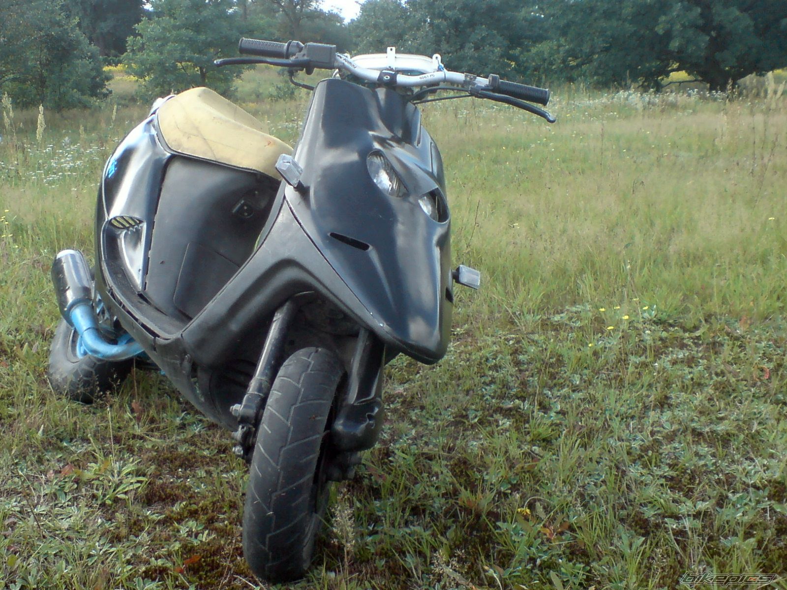 Photo 2344178