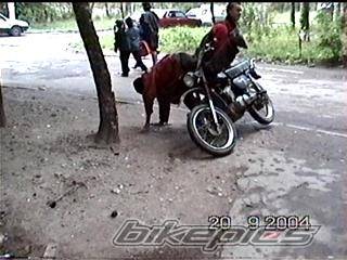 Photo 234432