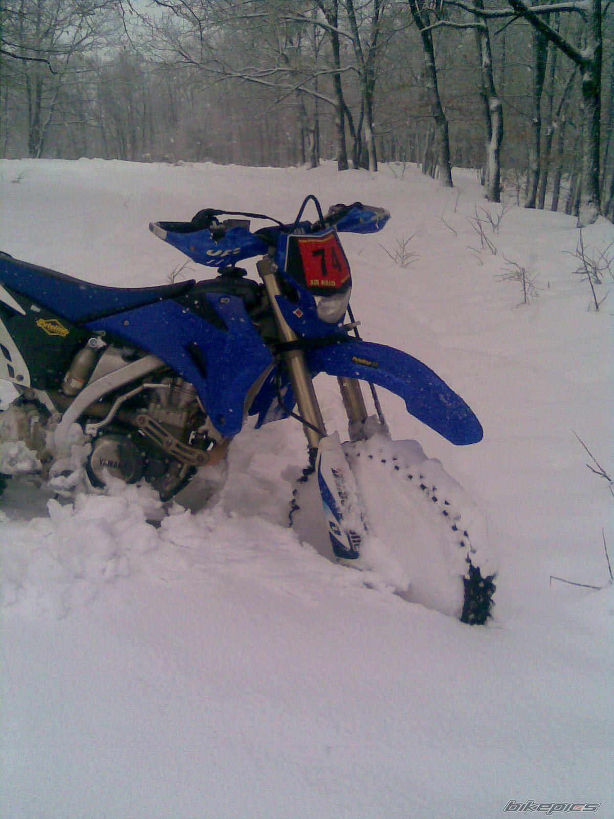 Photo 2344356