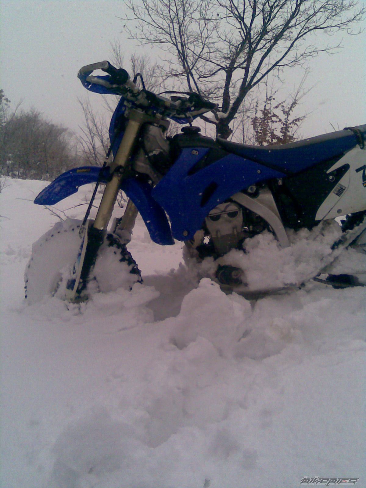 Photo 2344357