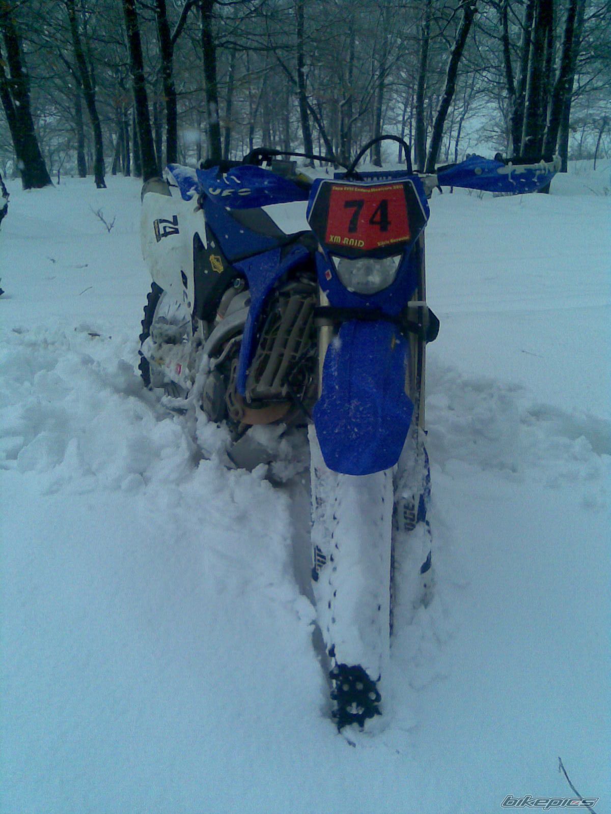 Photo 2344358