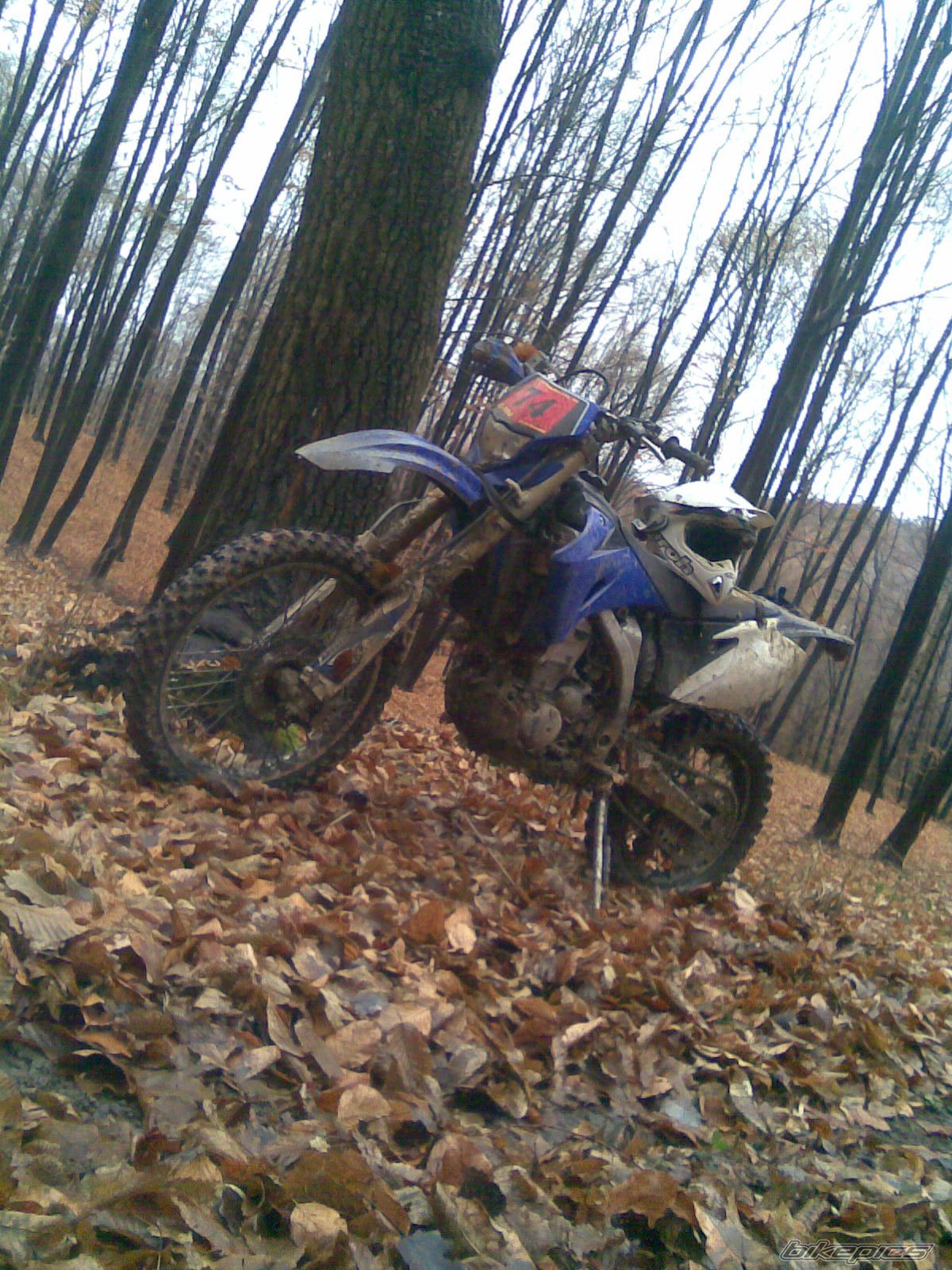 Photo 2344359