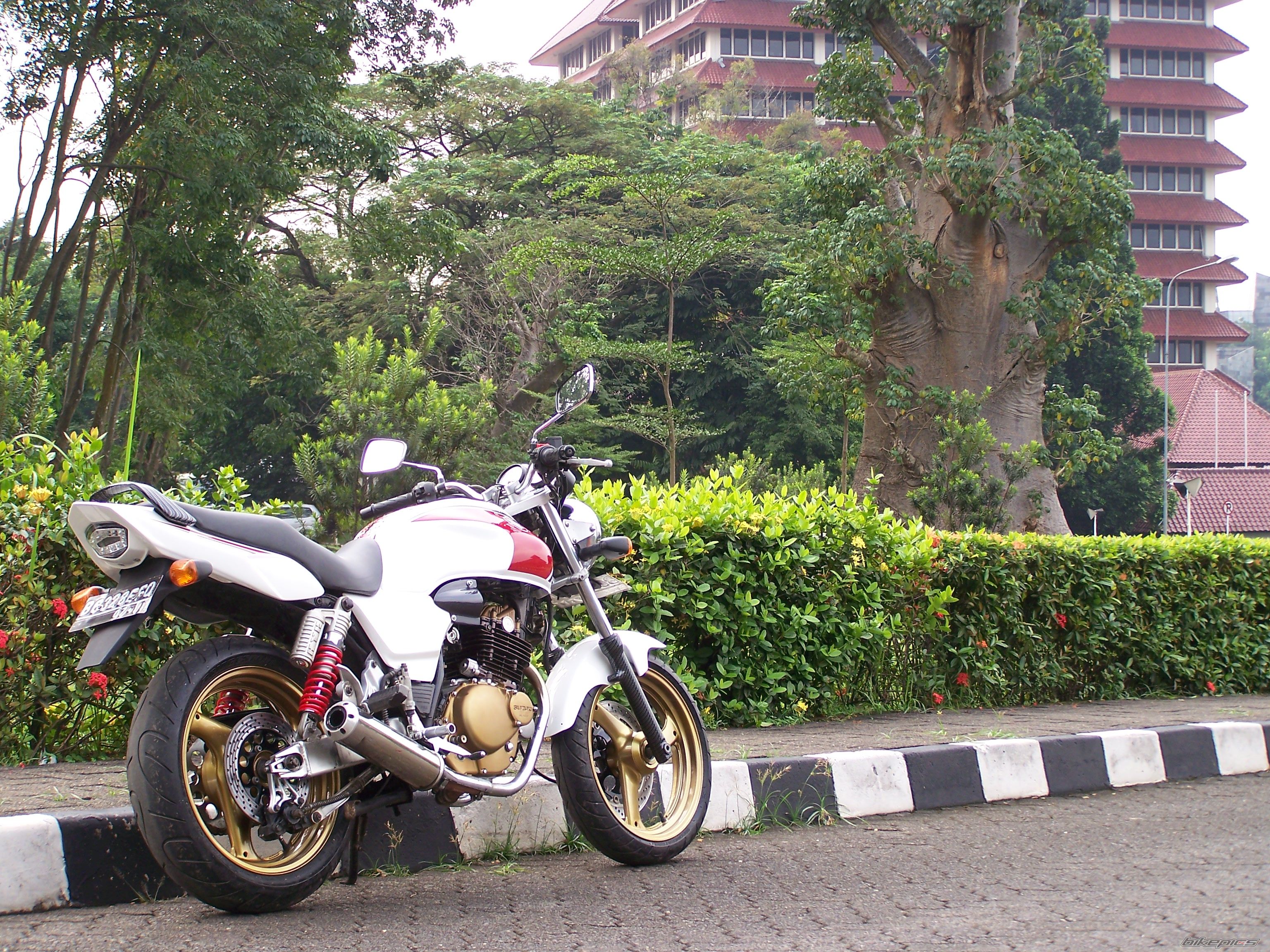 Photo 2344457