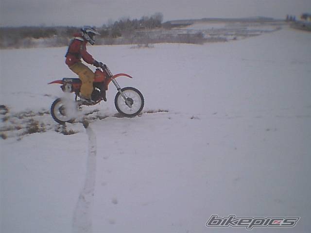 Photo 234448