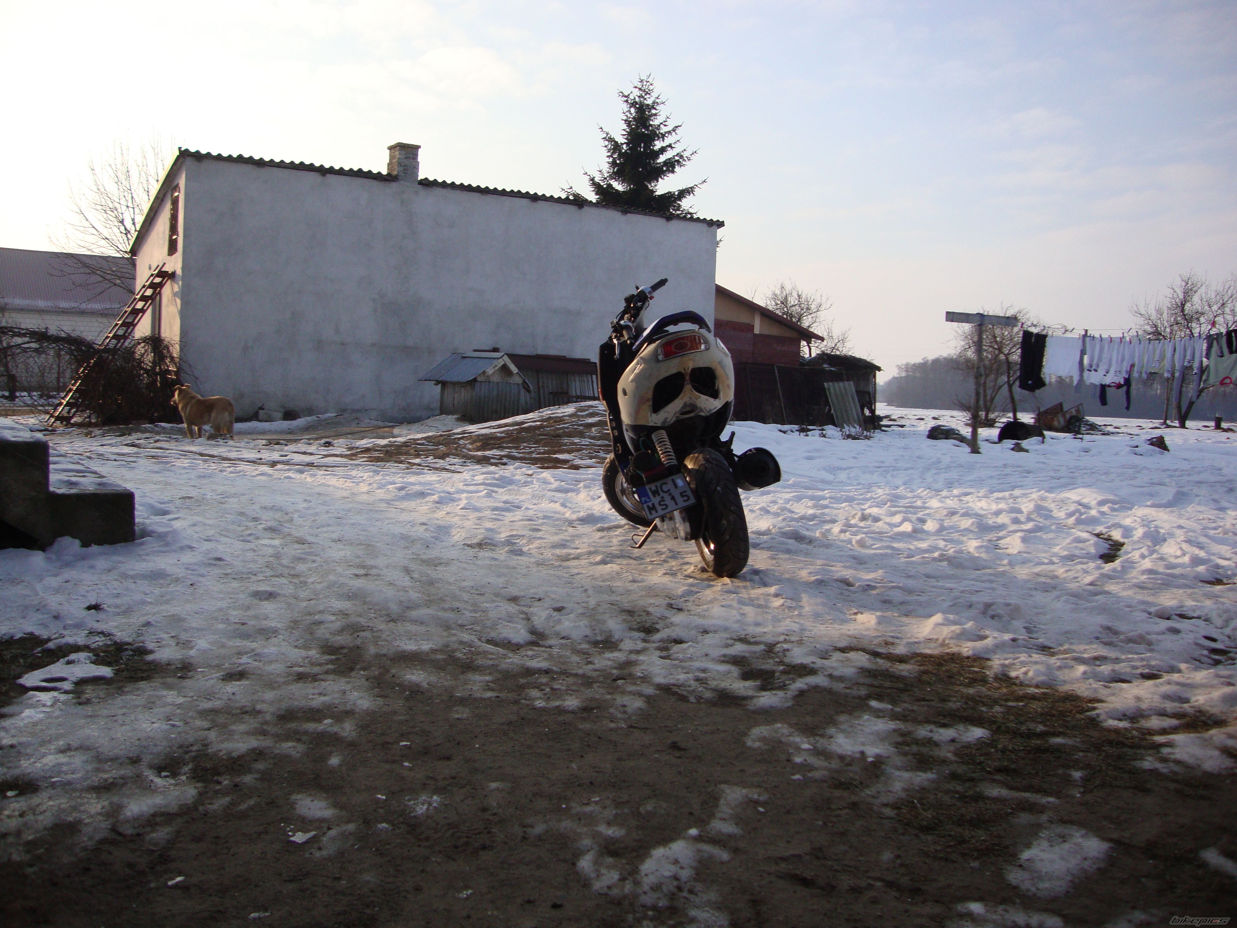 Photo 2344604