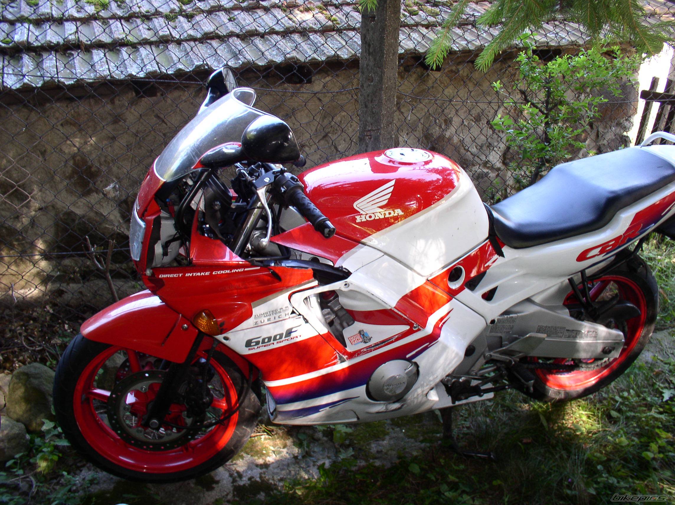 Photo 234469