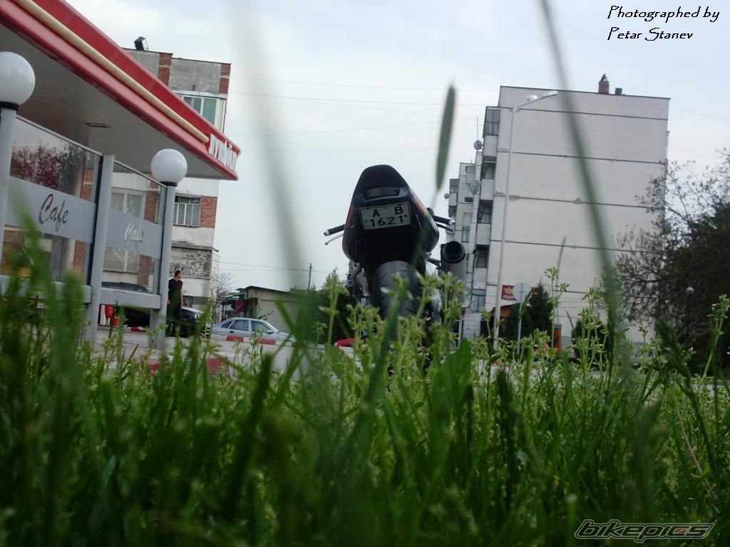 Photo 2344725