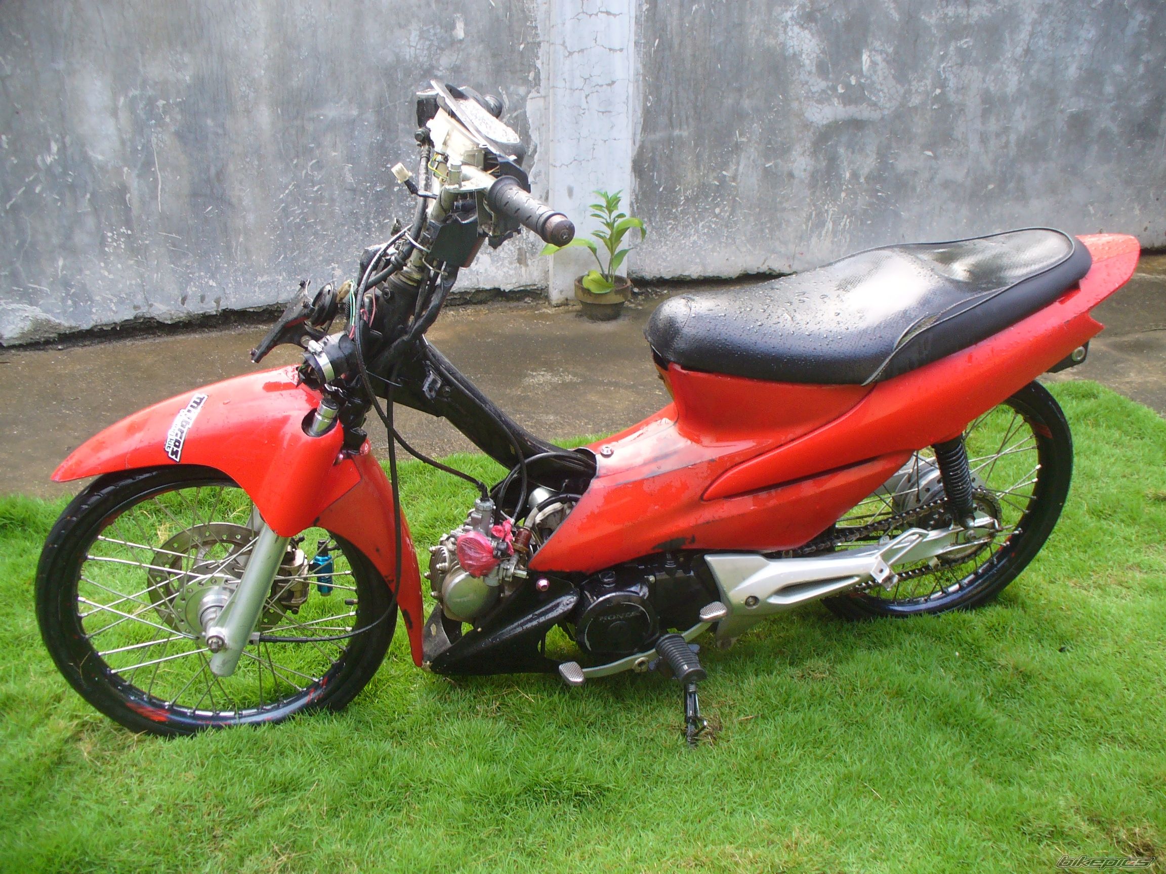 Photo 2344730