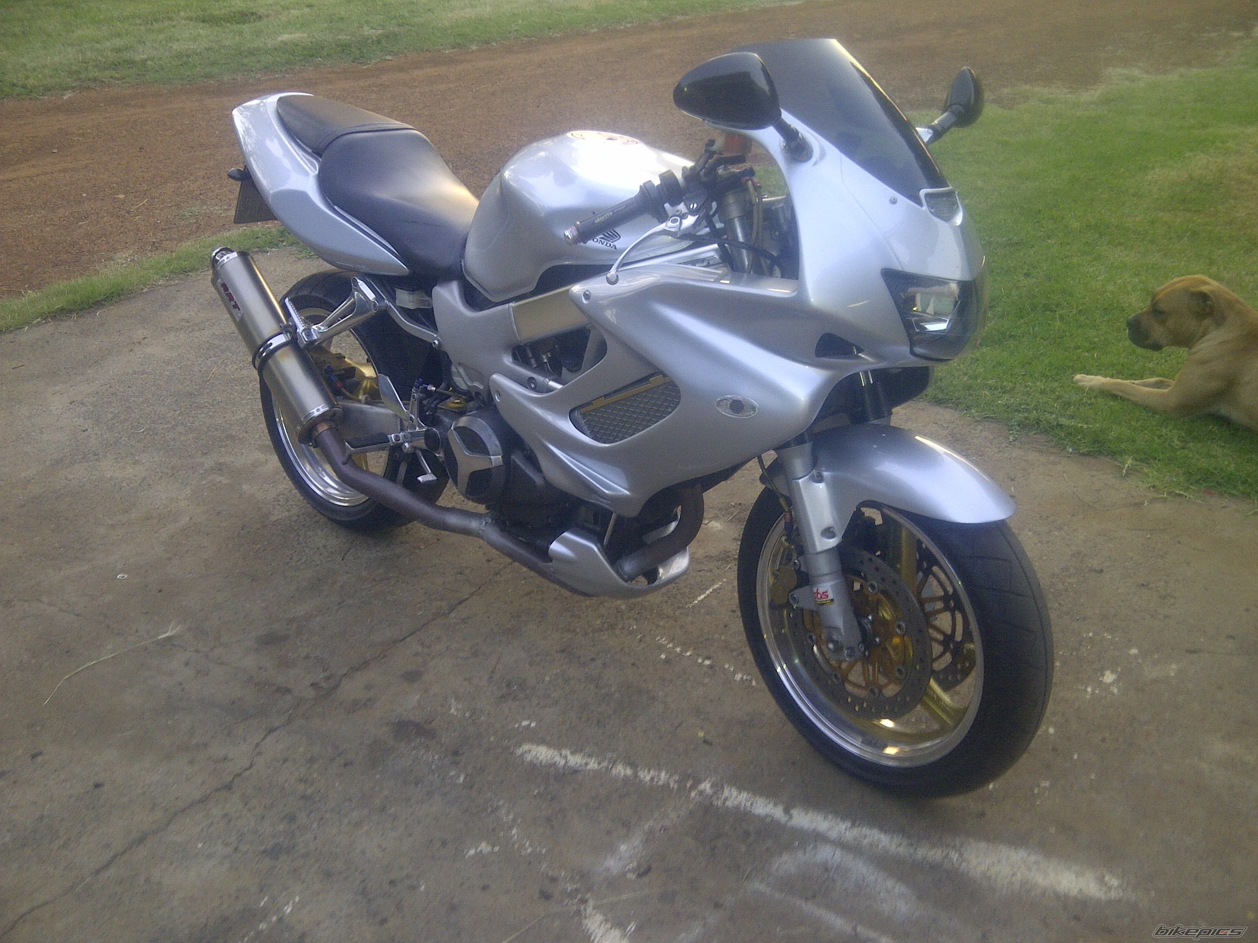 Photo 2344741