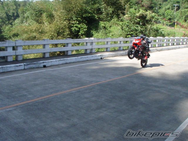 Photo 2344742