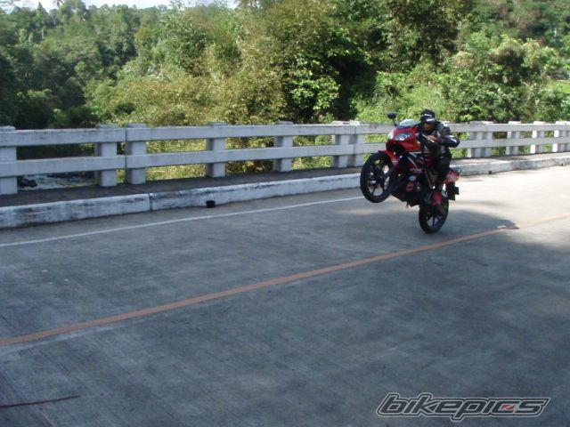 Photo 2344743