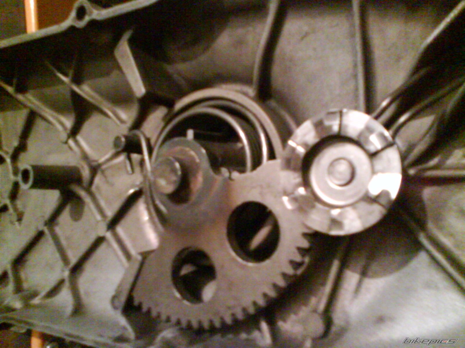 Photo 2344790