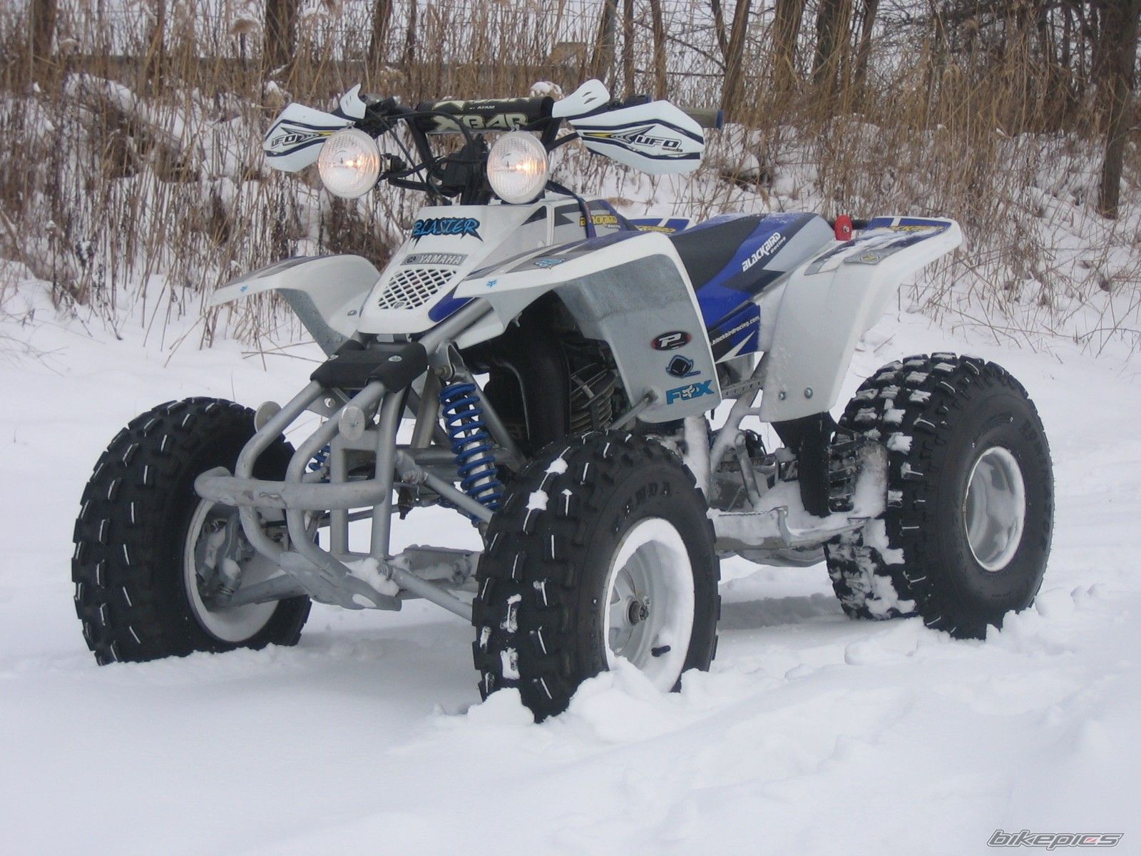 Photo 2344841