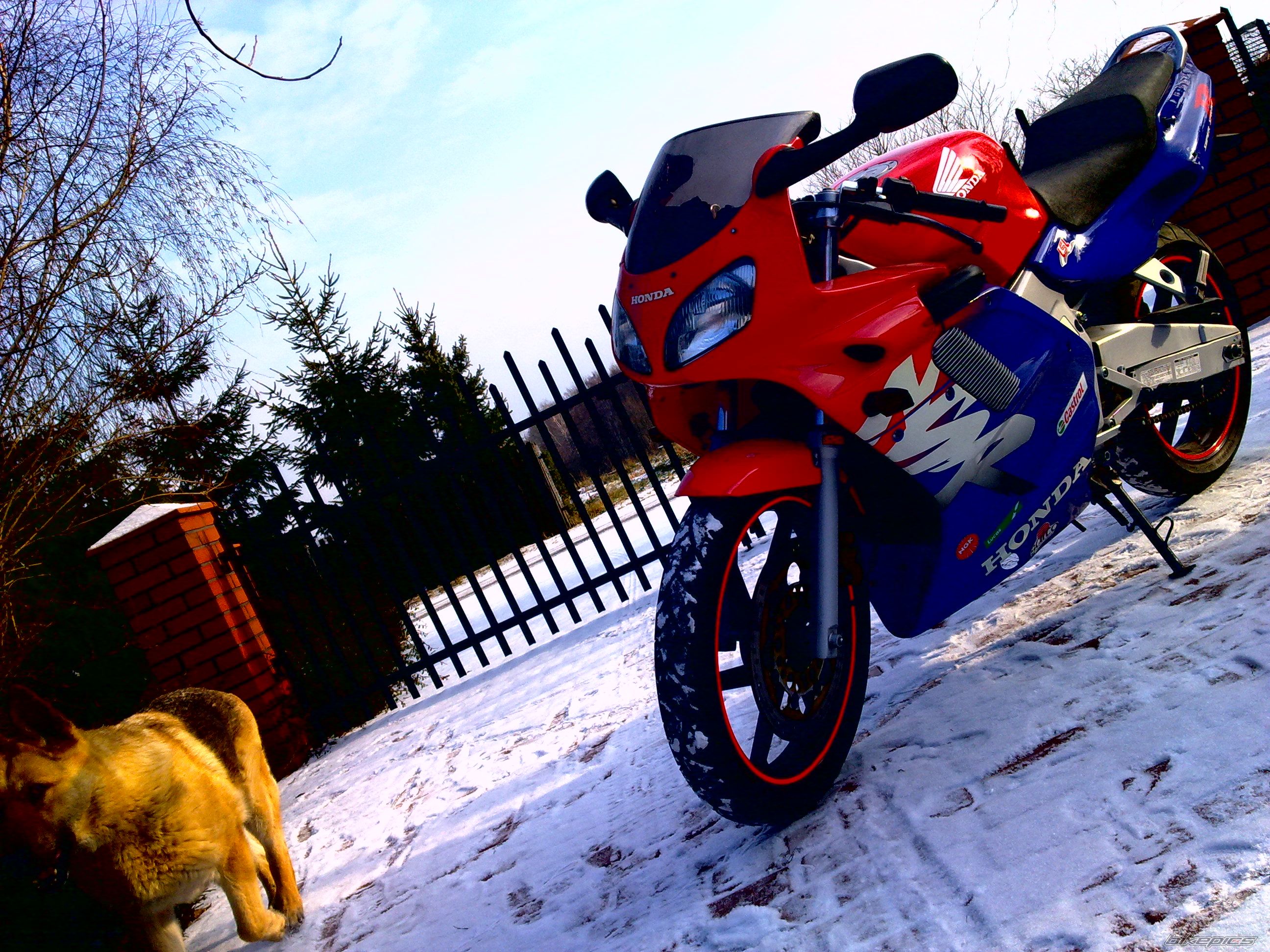 Photo 2344870