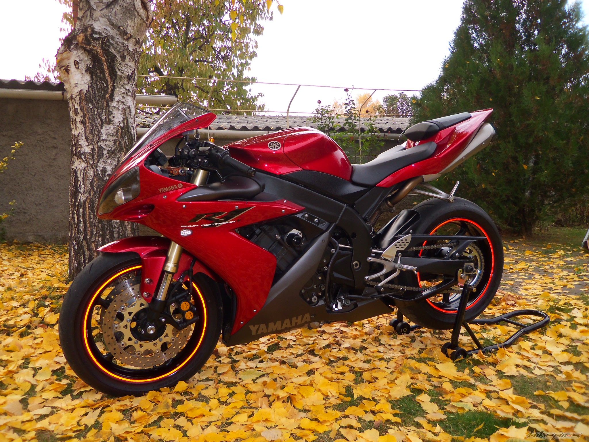 Bike Photo 2344873