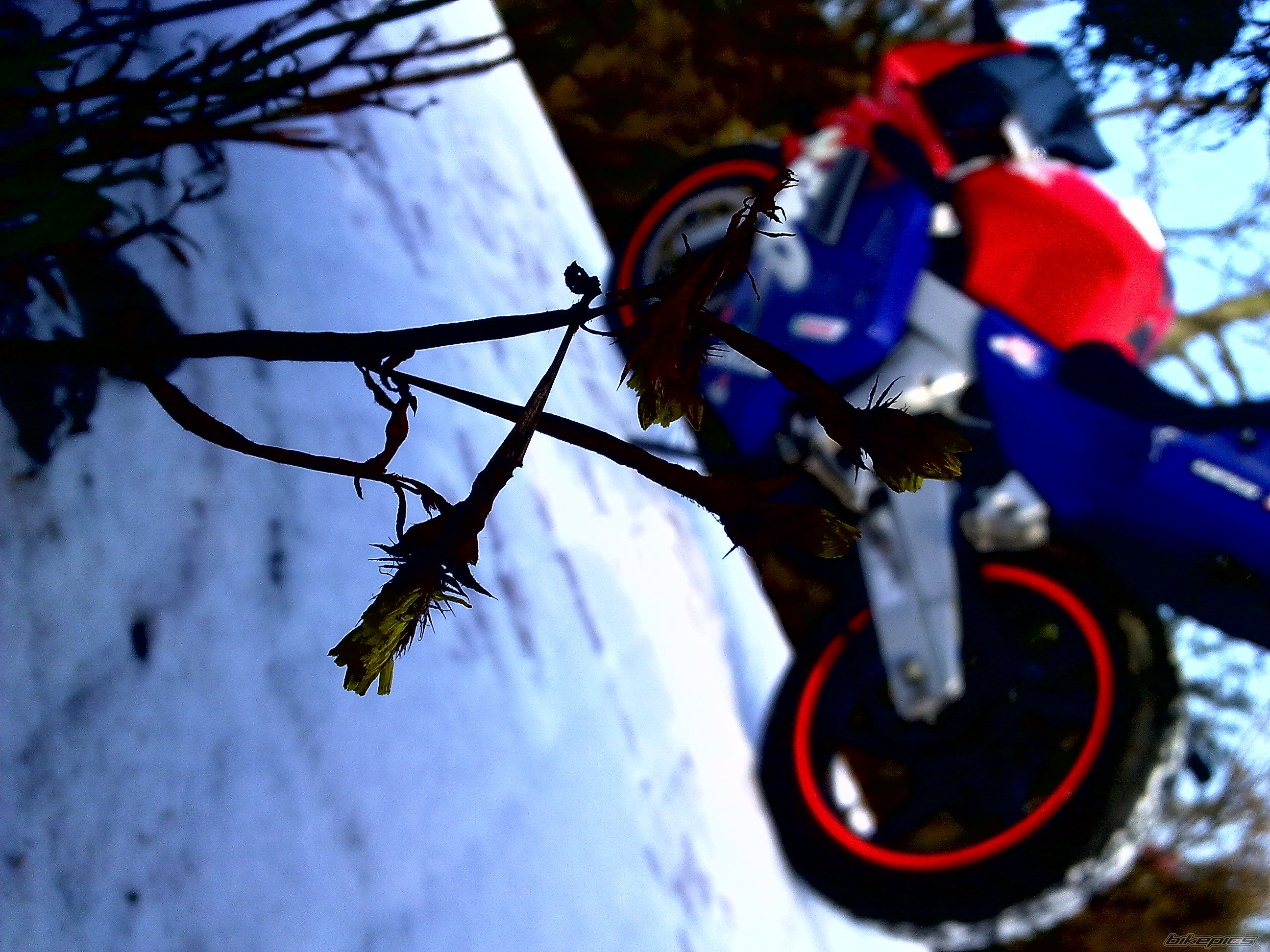 Photo 2344874