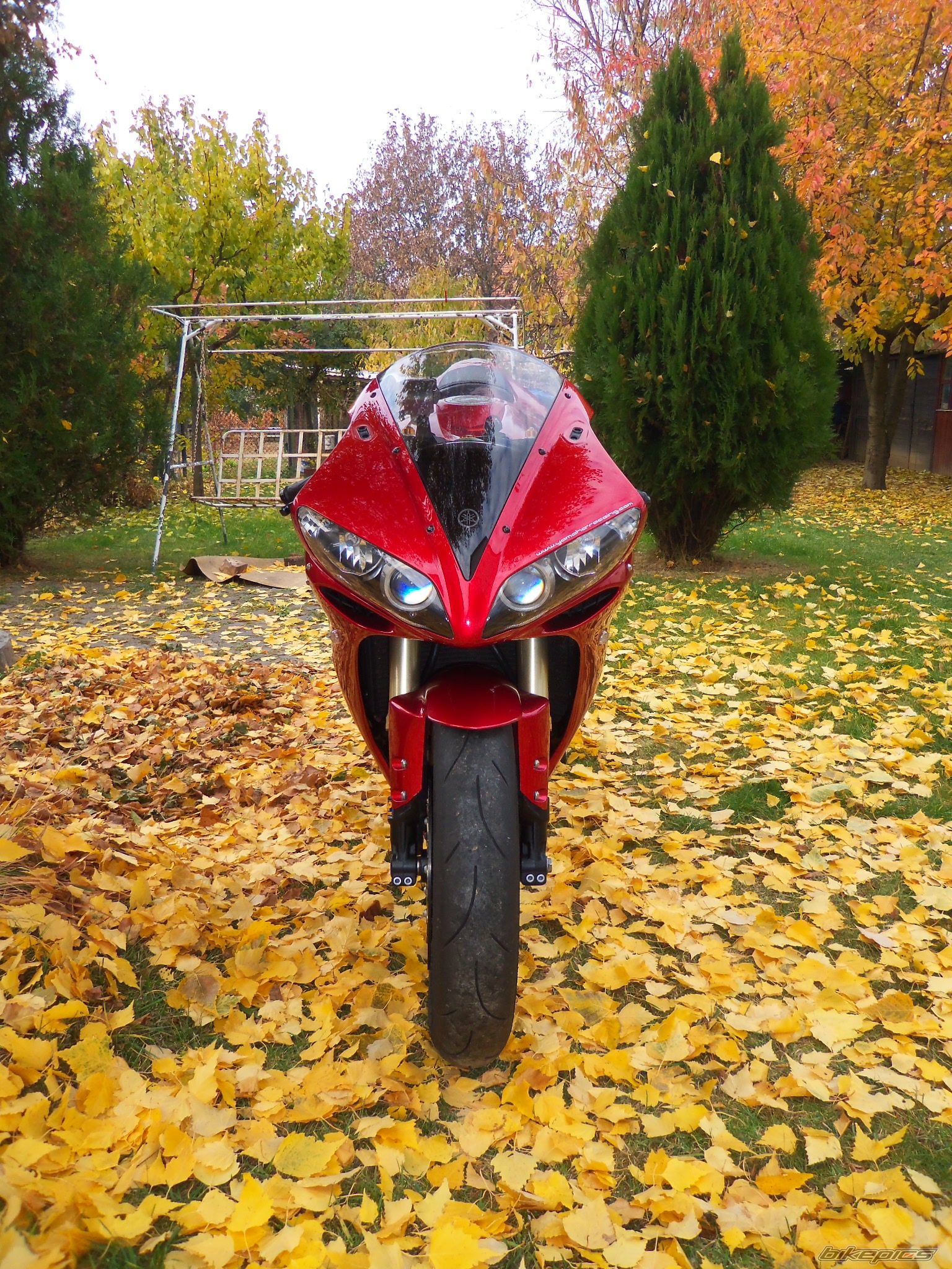 Photo 2344881