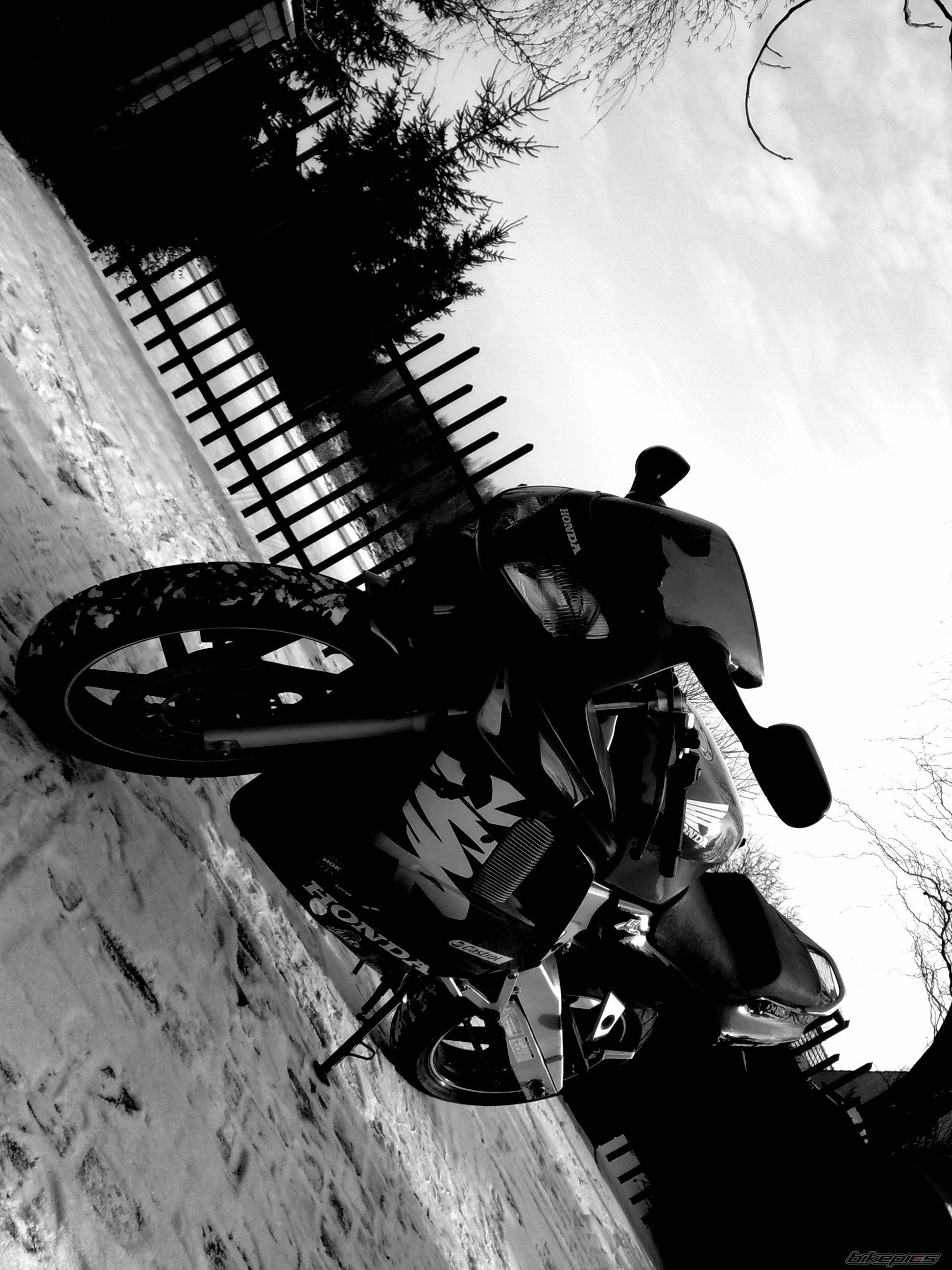 Photo 2344884