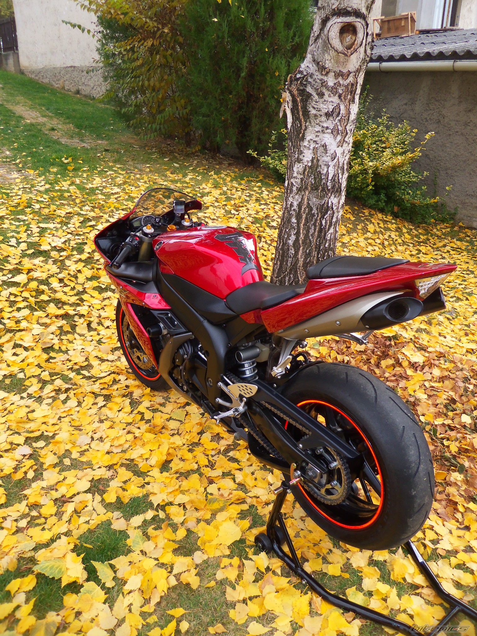Photo 2344887