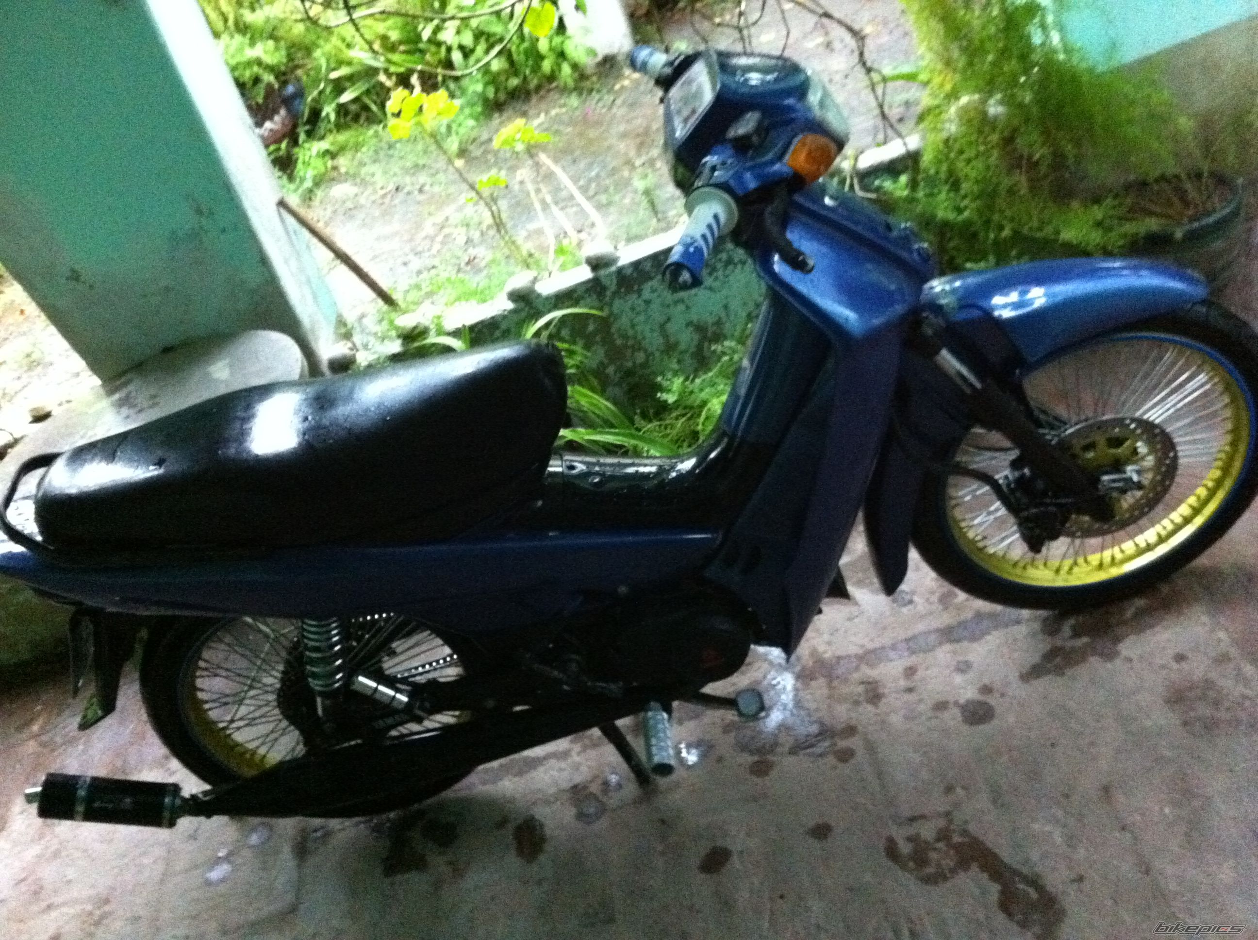 Photo 2344890