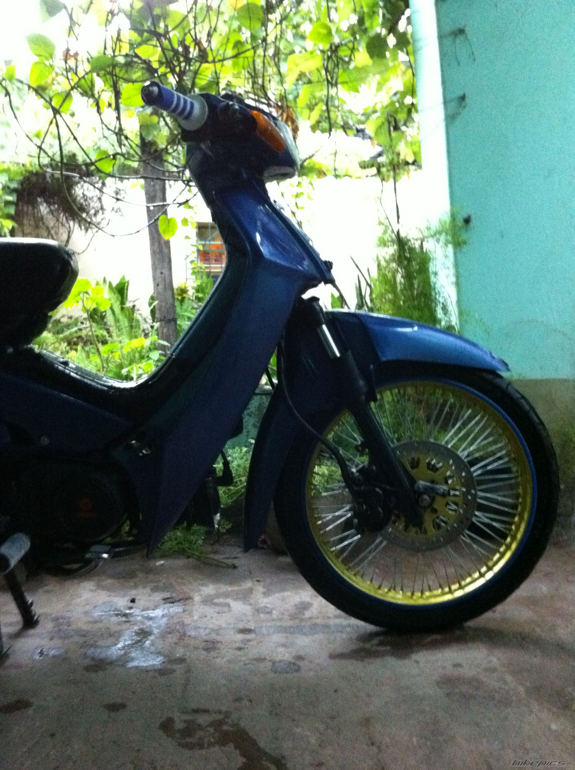 Photo 2344929