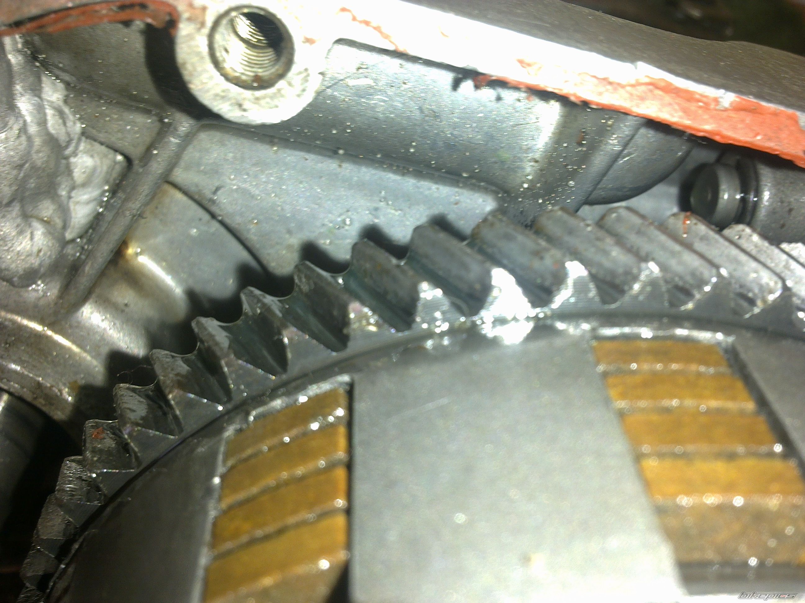 Photo 2345069