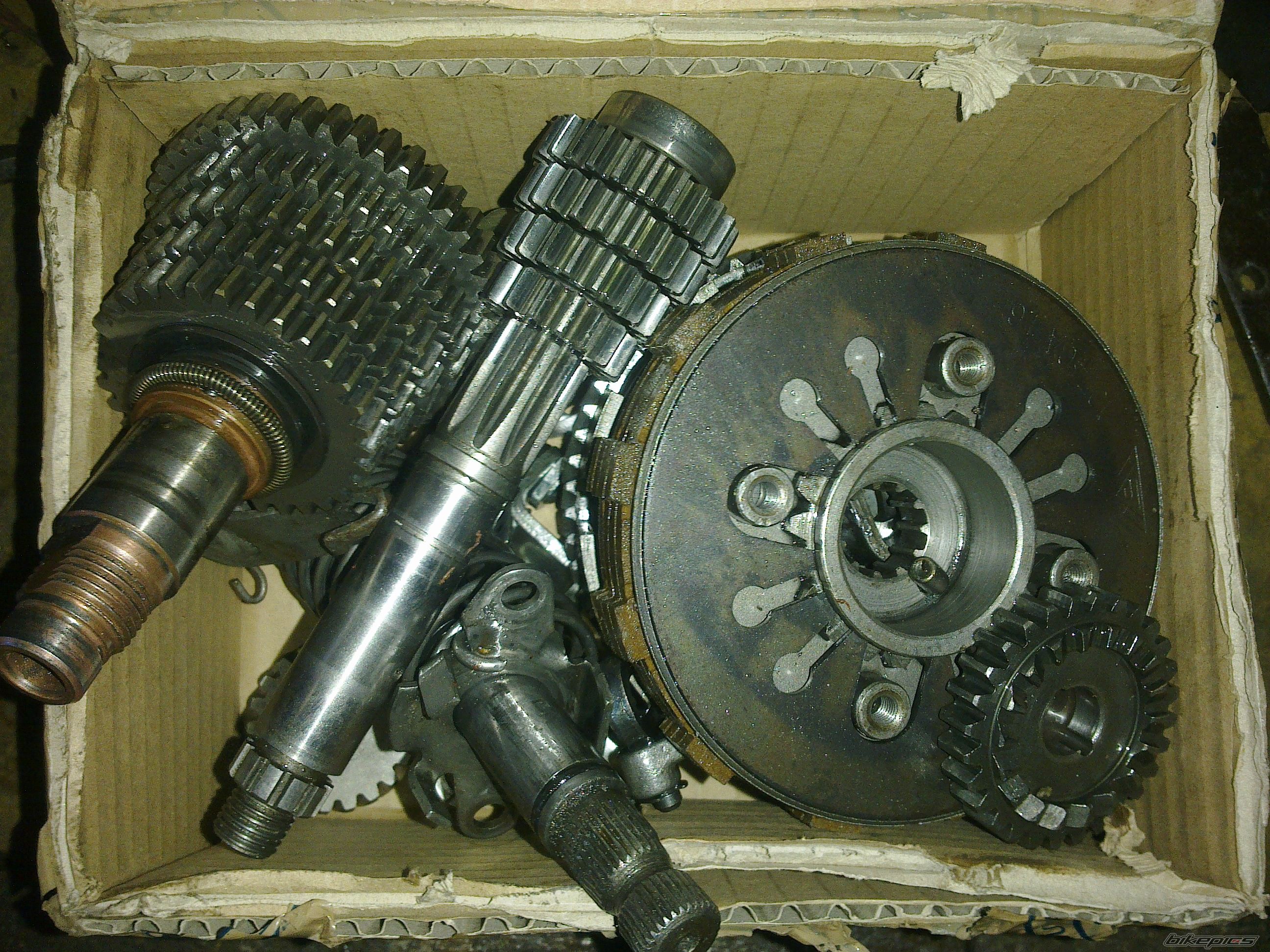 Photo 2345073